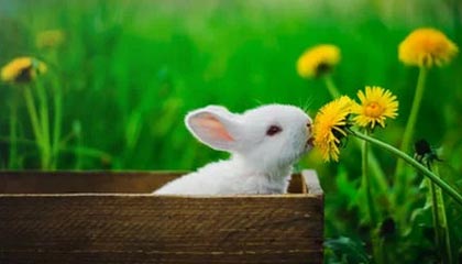 开云体育俱乐部官网-【潮流战术】以“高投打”策略引领联赛新风，高投入是什么意思